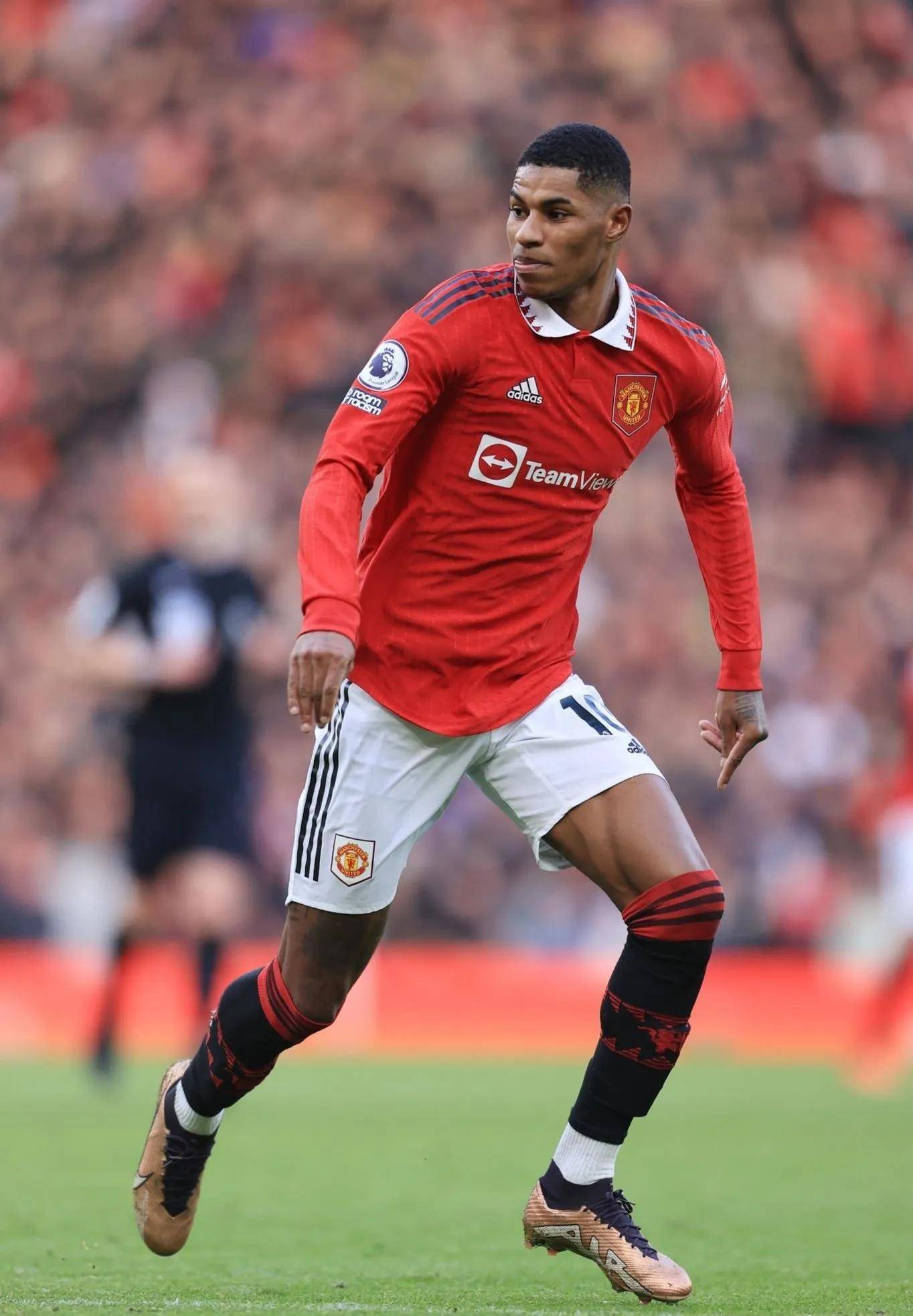 了丰富的比 了丰富的比