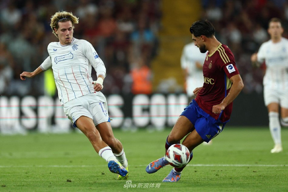 半全能取代 半全能取代